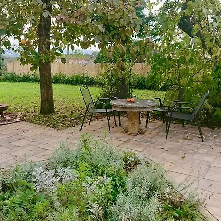 Kraska Nisa Комен